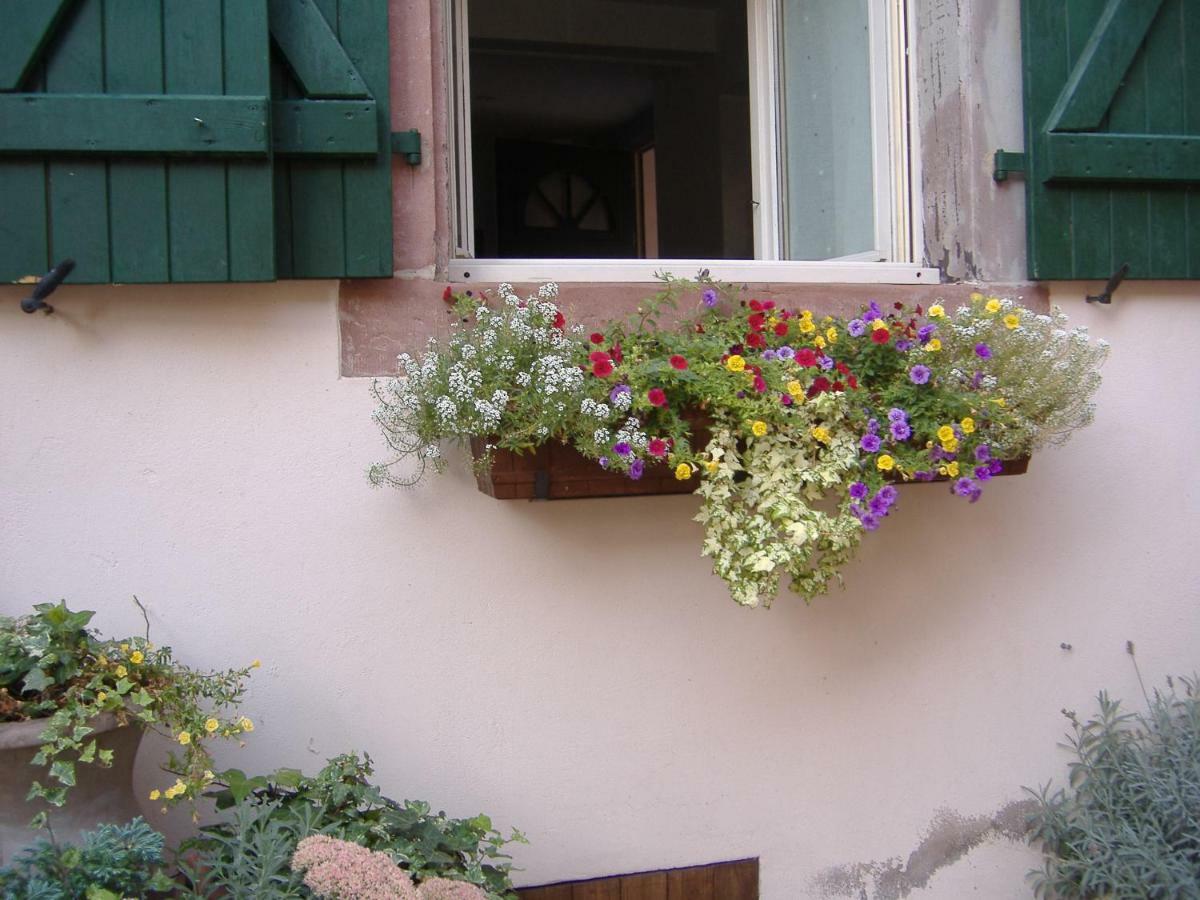 Charmant Petit Appartement En Alsace Bouxwiller  Екстер'єр фото